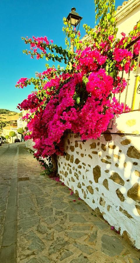 Preciosa Casa De Pueblo Entre Ronda Y Setenil La Posada De Catalina Монтекорто Экстерьер фото